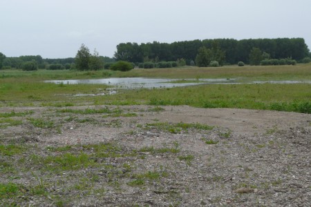 Juni 2013